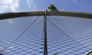 China Prevent Children Falling Architectural Wire Mesh 7 X 7 wholesale