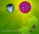 OEM 1.5W 160V AC 60Hz 200Lm Hydroponic Plant Led Grow Light Panels for
