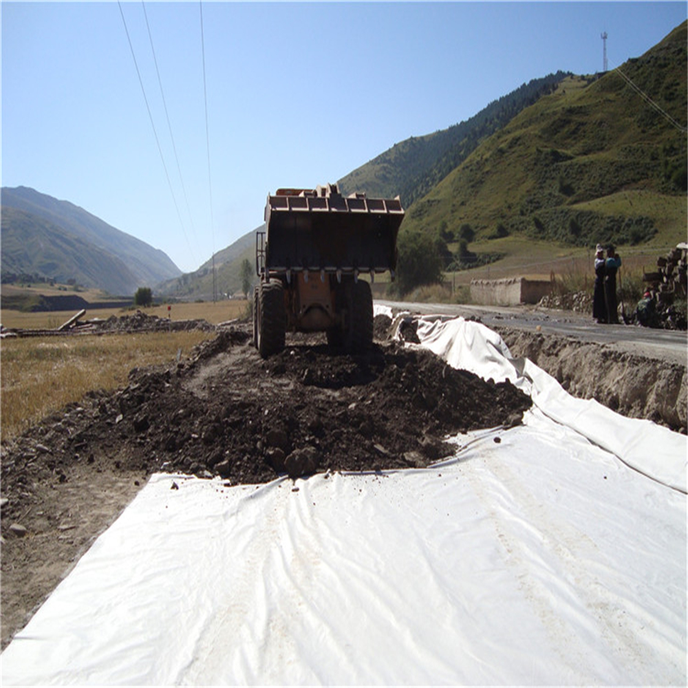 PP/ PET Geotextile 100g/sqm-800g/sqm Short Fiber Non-Woven Geotextile for Construction
