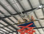 24FT Large Blade Gearbox Ceiling Fan