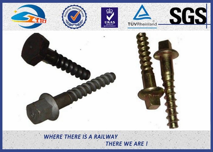 10.9 Grade 40Cr Steel Oxide Black Screw Spike Insert Plastic Dowel Railway Fasteners