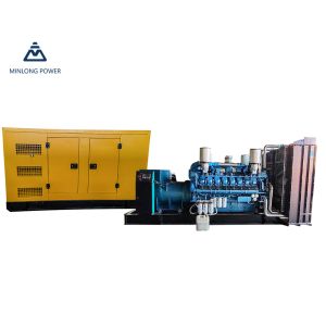 China 12m33D960e311ng Natural Gas Generator Water Cooled Automatic Control System wholesale