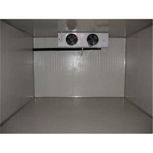 China Quick Freeze Walk In Cold Rooms Safety Fresh Keeping Small Freezer Room wholesale