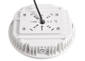 China 9000LM Explosion Proof White 60 Watt LED Canopy Lights wholesale