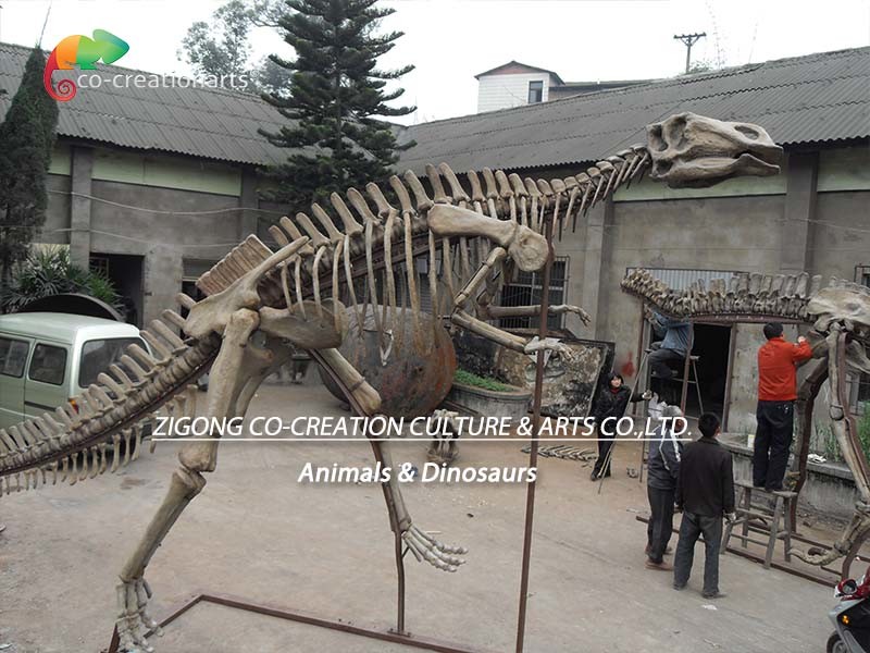 Fiberglass Life Size Dinosaur Skull Replica Hadrosaurus Skeleton anti aging