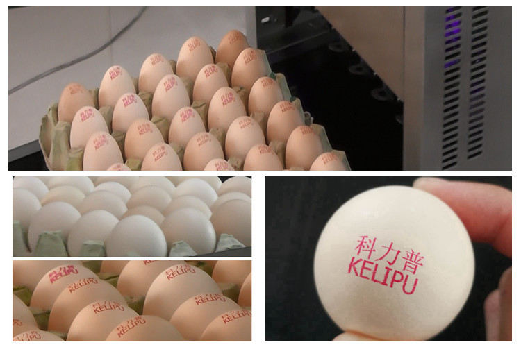 600DPI Egg Jet Printer / Expiry Date Printing Machine With One Year Warranty