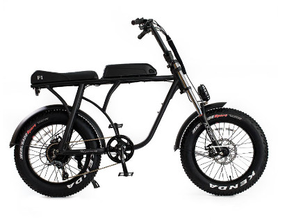 20" Fat Tire Electric Bike Beach Cruiser Snow Aluminum 36v 10ah 350w 8FUN