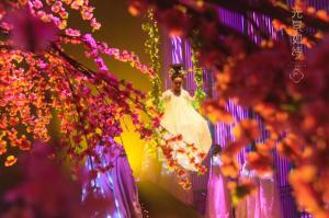 China Floating 3D Holographic Display Hologram Musion Eysliner Foil 5x30m wholesale