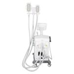 3 Cryo Handle 1 Shockwave Cryolipolysis Slimming Machine