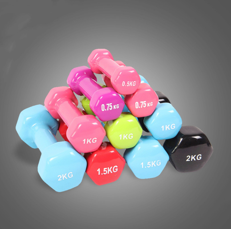 Cast Iron Neoprene Fitness Dumbbell Vinyl Dipped Dumbbells For Weight Exercise
