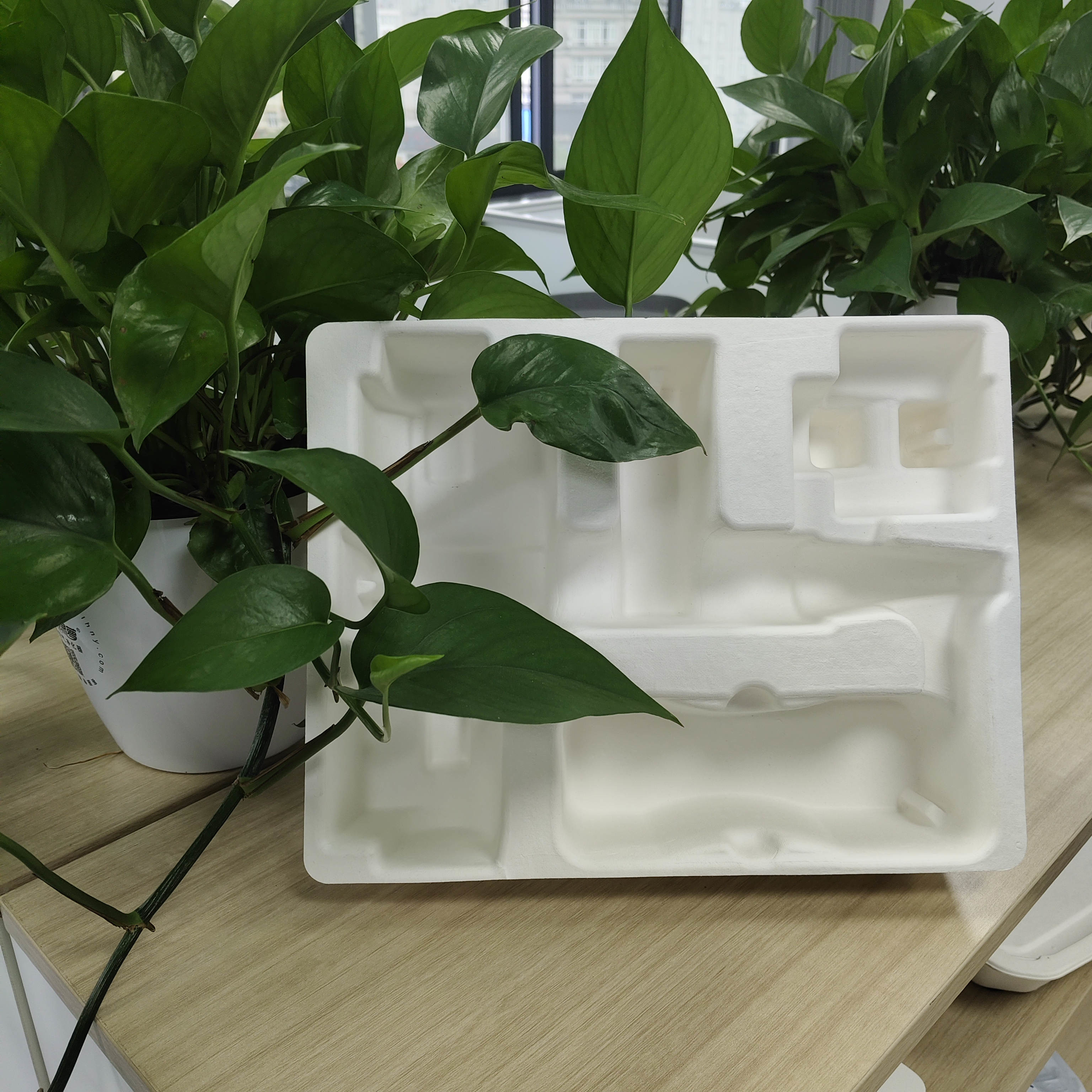 OEM manufacturers customize pulp molded packaging bases for small household appliance fascia guns. These are made of white plant fibers through dry
