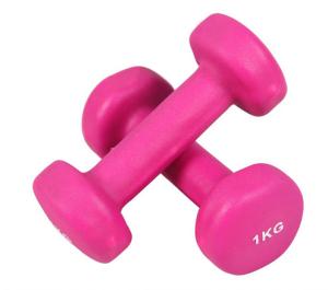 China Wholesale Round Head Vinyl Dipping Dumbbell /customize dumbell wholesale