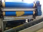Beverage 440V 20T/H Pineapple Juice Processing Line