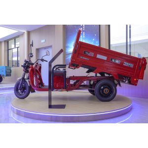 Tricycle Cargo Bike Adults Motorized Various Cargo Tricycle