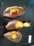 IQF Frozen Baked Whole Sweet Potato
