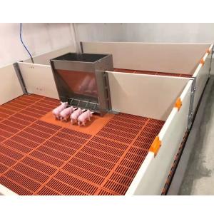 China Customizable Livestock Farm Equipment PVC Panel Weaning Piglet Nursery Crate wholesale