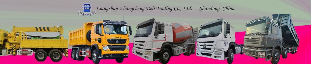 Heavy Duty 6X4 Left Drive or Right Hand Drive 380HP Shacman F3000 Tractor Trailer Used Tractor Head Truck for Sale