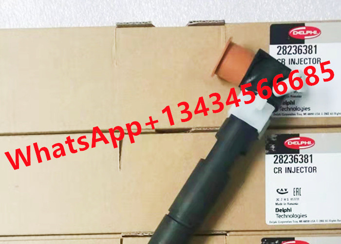 28236381 Common Rail Injector 33800-4A700 338004A700 Delphi Fuel For Hyundai Starex
