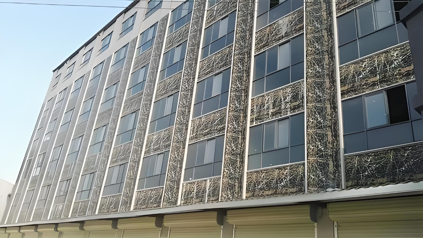 Customized RAL Color Wooden Case Package Prepainted Galvanized Steel Coil for Products