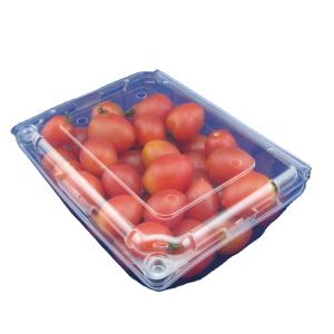 China Eco Friendly Disposable PET Fruit Plastic Packaging Boxes OEM wholesale
