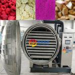 Vacuum Freeze Drying Equipment for Fruit and Vegetable Meat Pre-frozen at -18C