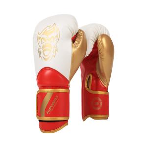 China Pu Leather EVA Gym Boxing Protective Gear Gloves Breathable Professional wholesale