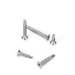 Passivated Finish Stainless Steel Flat Head Self Drilling Screw for Metal