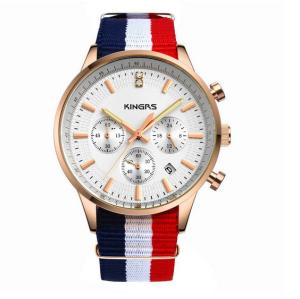 China Fashion Custom Interchangeable Nylon Strap Watch with stainless steel case watch on sale