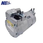 Electric AC Air Conditioning Compressor OE BMW 64526998209 64529364867