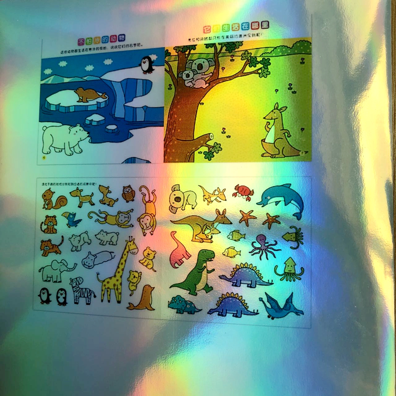 Inkjet Printable Waterproof Holographic Hologram Sticker Paper For Self Adhesive Industrial