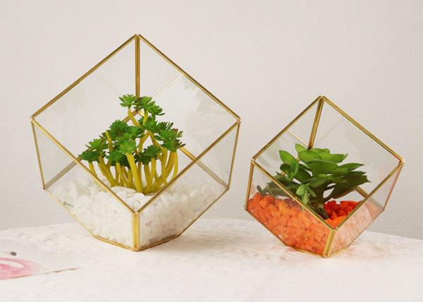 Micro landscape glass artifact cover display box house succulent plant eternal
