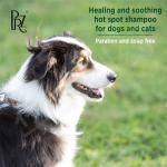 Hot Spot Itch Relief Medicated Pet Care Shampoo Formula Clinical Care