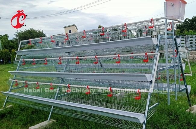 Q235 Wire Galvanized A Type Battery Cage For Layers Chicken Emily