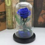 Beautiful Rose Flowers Everlasting Rose Preserved Flower Eternal Rose in Glass