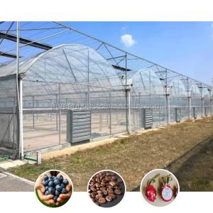 China Hot Sale Poly Tunnel Agricultural Multi-span Plastic Film Blueberry Greenhouse wholesale