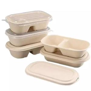 China Hotel Biodegradable Compostable Sugarcane Container 100C Fast Food Takeaway Packaging wholesale