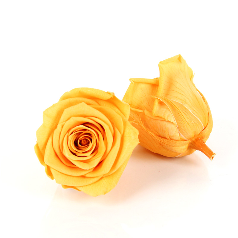 Decorative Preserved Flower Heads , Beautiful Rose Flower Heads Multiple Color