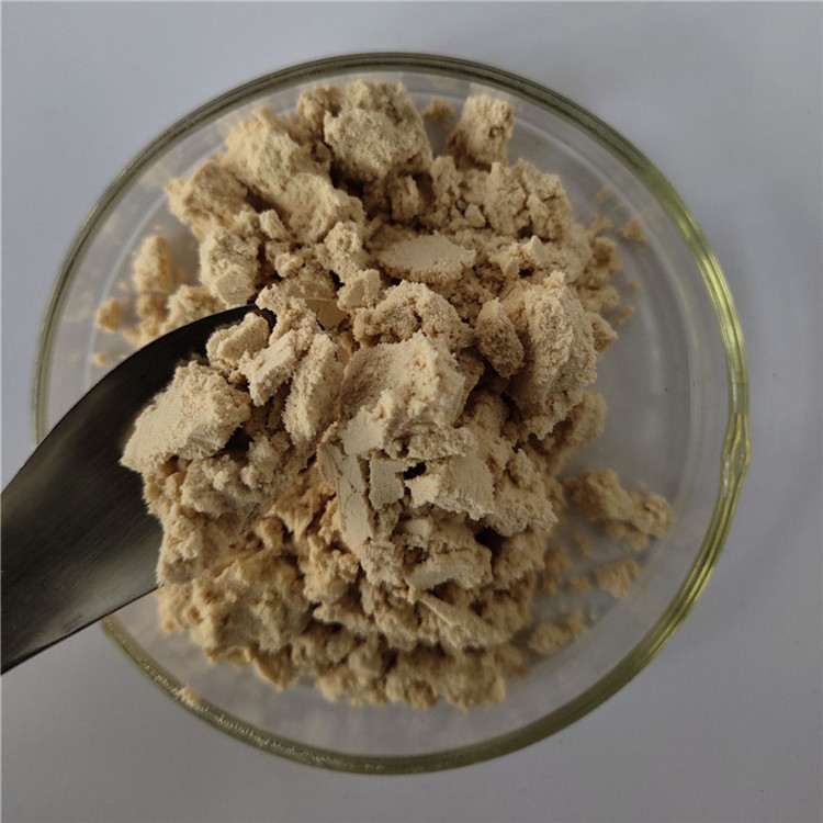 gmp immune anti-fatigue eyebright extract in bulk