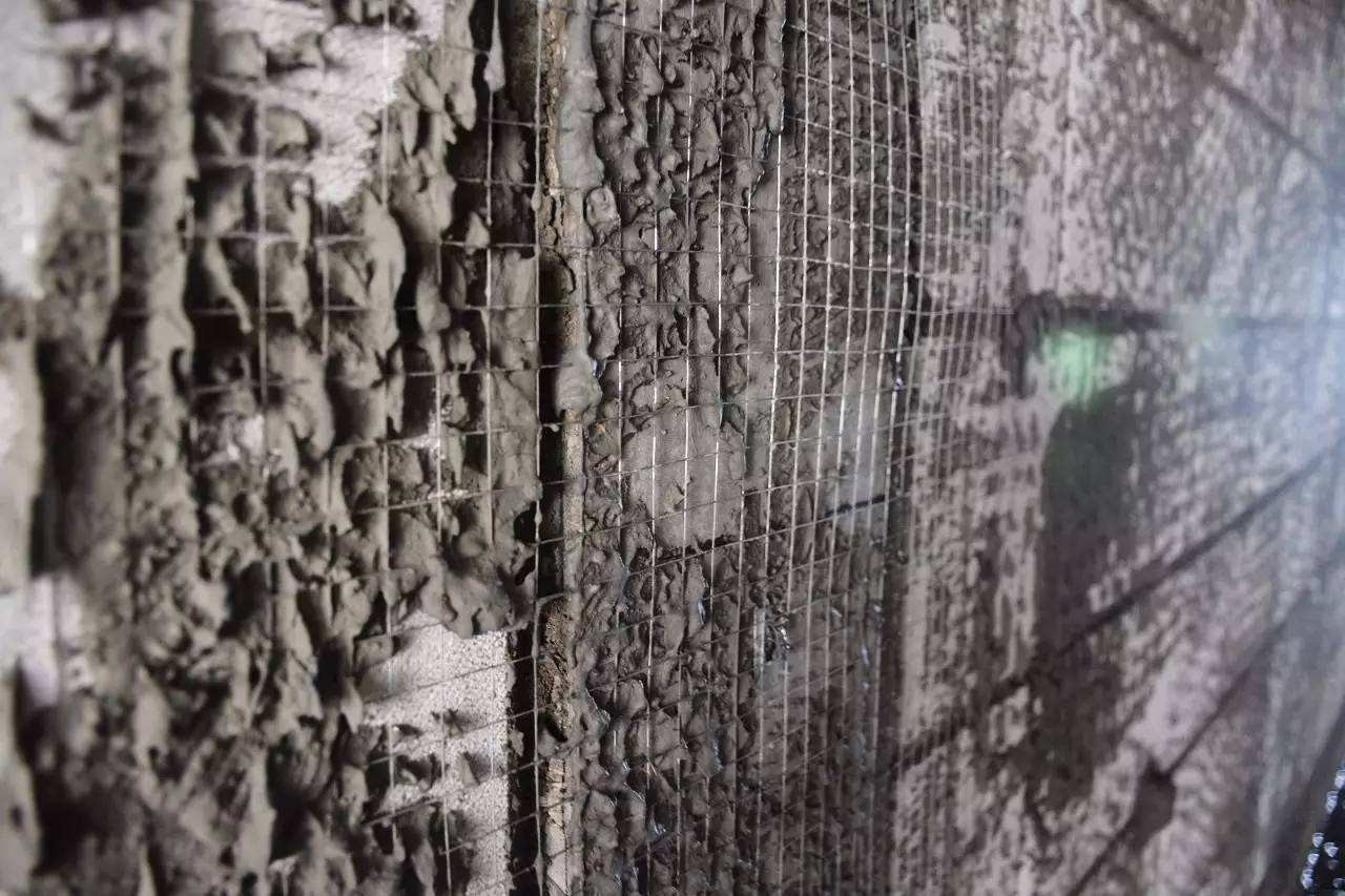 Special Design Widely Used 1/4"x 1/4" Hot Dipped Galvanized Welded Wire Mesh Roll