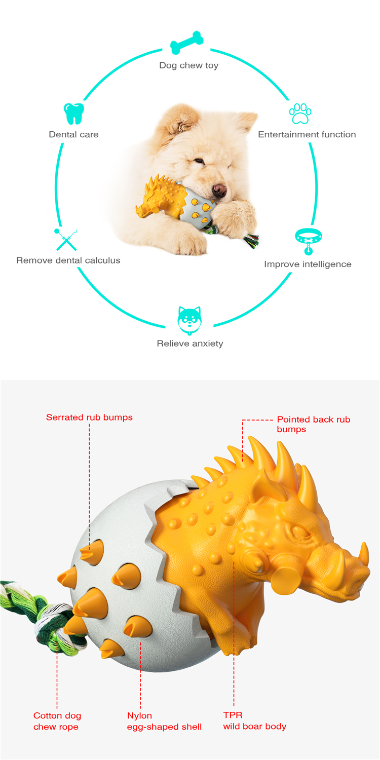 Most Popular High Quality Bite-resistant Star Pet Dog Cooling Pet Training Clean Teeth Chew Dog Toy