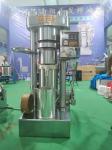 Avocado Oil Expeller 60MPA Palm Oil Press 250mm Alloy Material