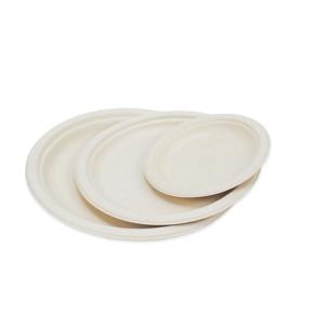China Disposable Degradable Pulp Plate Bowl Lunch Box 9 Inch Sugarcane Paper Plate wholesale