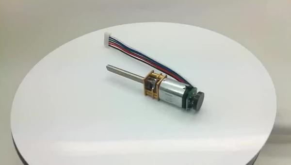 Micro high torque 300 rpm 3v 5v 6v 12v 12 volt 24v n20 dc shaft gear motor with