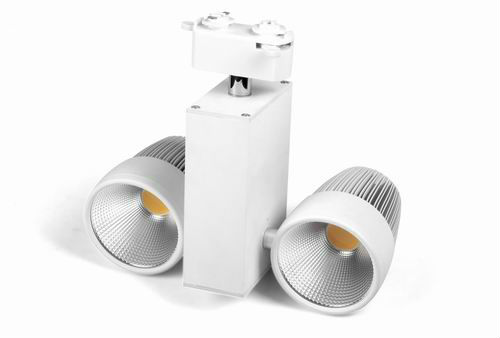 Professional Manufacturer Epistar chips 2*10W COB LED Tracklight