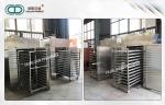 Electric Hot Air Circulation Oven Tray Dryer Medical Equipment Stainless Steel