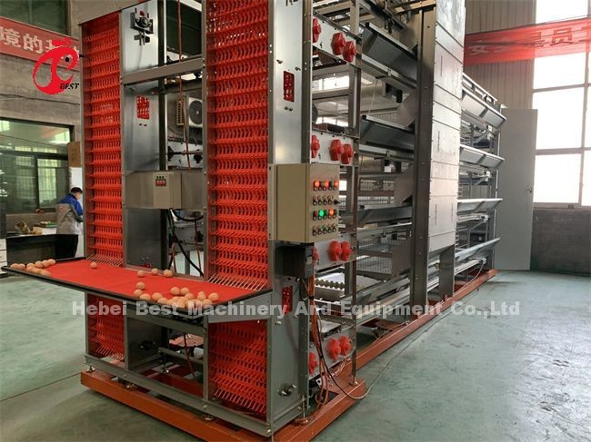 Modern H Type Poultry Automatic Chicken Cage Equipment 20 Years Lifespan Ada