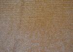 Nostalgic Martin Coated Cotton Canvas High Density Weaving Fabric