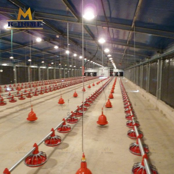 Quality Low Cost Steel Prefabricated Modern Poultry Farm Shed for sale