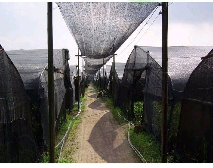 80% shading rate farm sun shade net for plant in low price