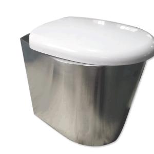 China Siphon Water Saving Toilet 3L 6L Stainless Steel Domestic Toilet wholesale
